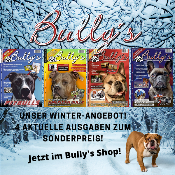 Das BULLY'S Winter-Angebot mit vier aktuellen Ausgaben zum Sonderpreis