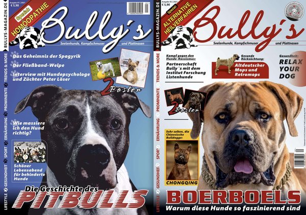 Bully's im Doppelpack - Ausgaben 1/2021 (#11) und 2/2021 (#12)
