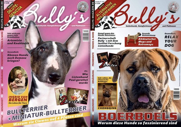 Bully's im Doppelpack - Ausgaben 2/2021 (#12) und 3/2021 (#13)