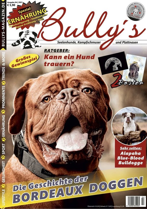 Bully's - Ausgabe 14