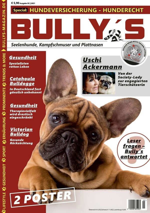 Bully's - Ausgabe 15