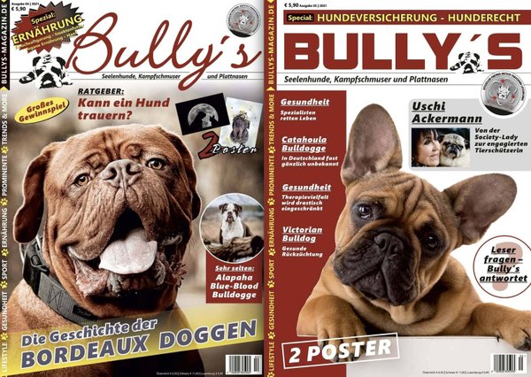 Bully's im Doppelpack - Ausgaben 4/2021 (#14) und 5/2021 (#15)