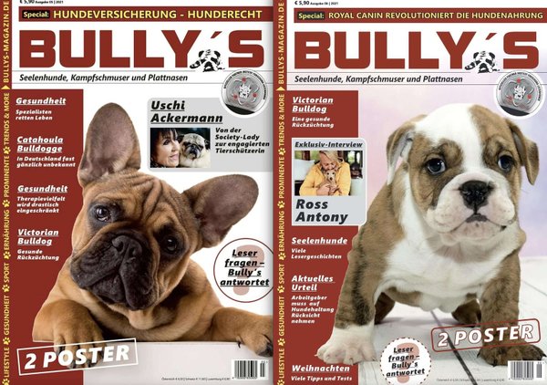 Bully's im Doppelpack - Ausgaben 5/2021 (#15) und 6/2021 (#16)